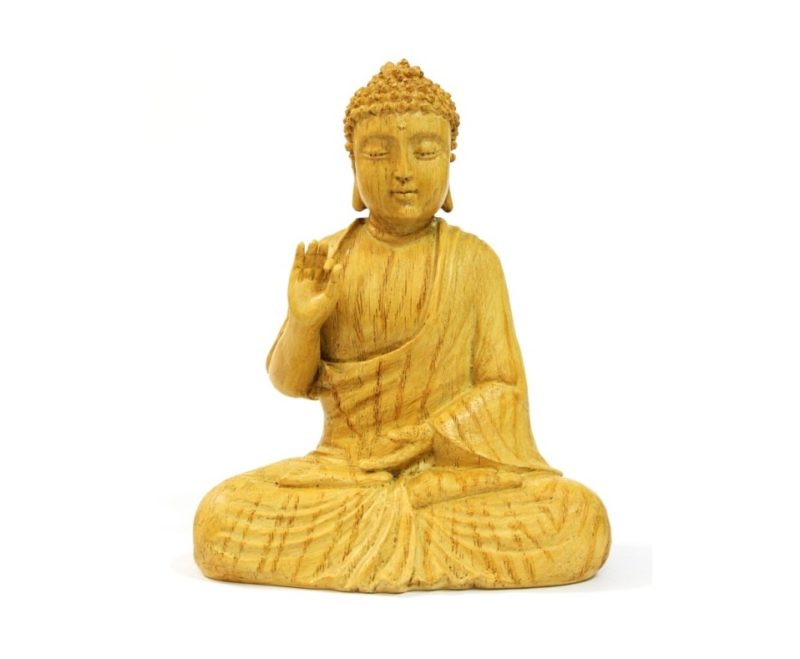 FIGURA 9138769
